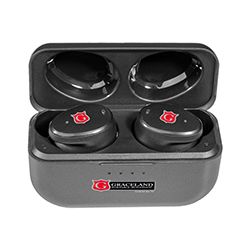 QUARX WIRELESS ANC EARBUDS